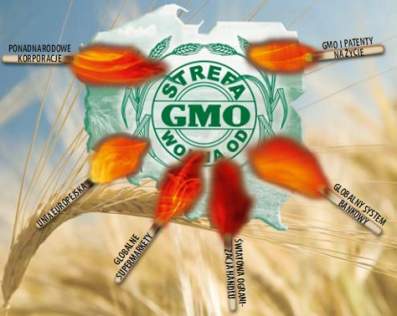 Strefa wolna od GMO.