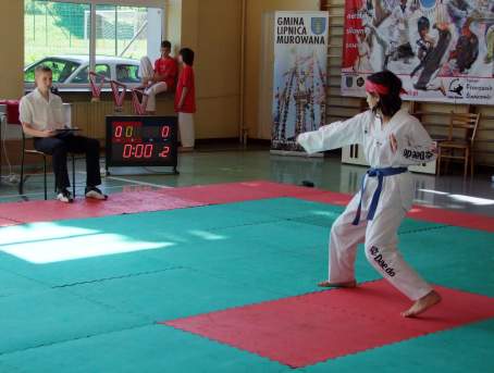 III. Turniej Taekwondo Olimpijskiego "Lipnica Cup" - 17.06.2012