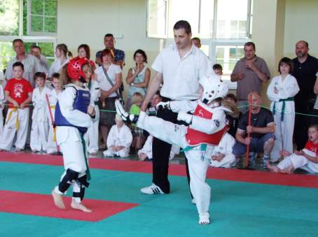 III. Turniej Taekwondo Olimpijskiego "Lipnica Cup" - 17.06.2012
