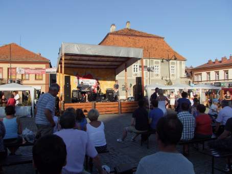 Doynki Powiatowe w Bochni - 19 sierpnia 2012 r.