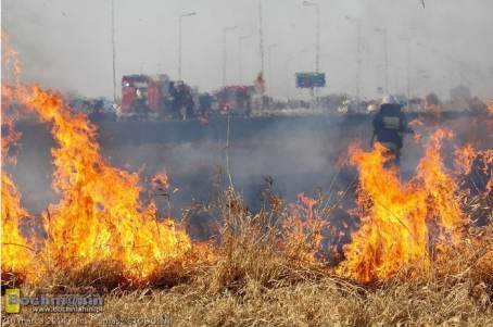 Pożar traw w Bochni - 10.03.2014 r.