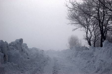Zima w egocinie - stycze 2003 roku - Bedno.