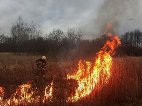 Pożar traw w Jodłówce - 05.04.2018