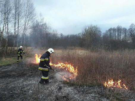 Pożar traw w Jodłówce - 05.04.2018 - w akcji OSP Rzezawa. 