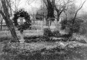 Cmentarz I wojny w. 301 w egocinie.