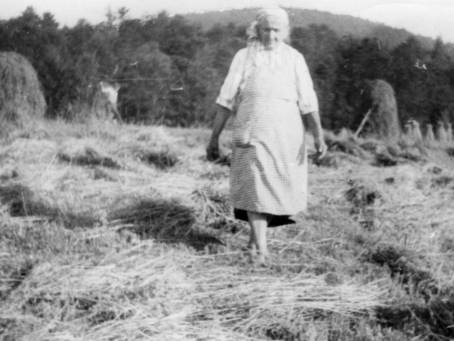Albina Sroka podczas pracy w polu.