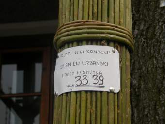  50. Konkurs Lipnickich Palm - 16.03.2008.