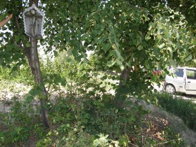 Kapliczka szafkowa na drzewie, przy drodze z Bedna na Konice
