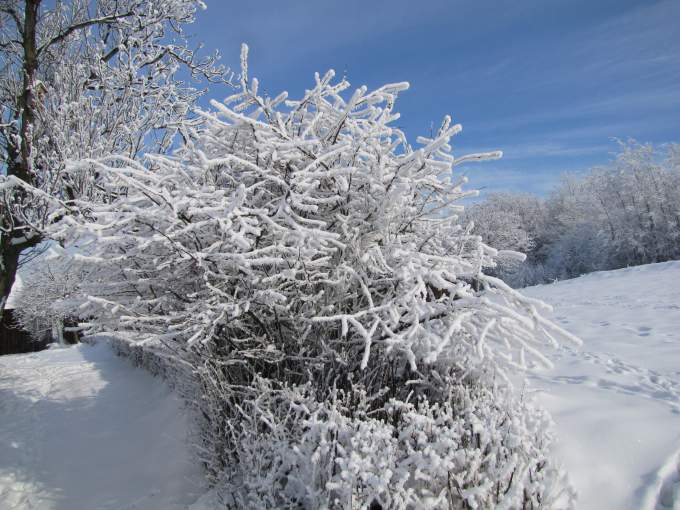 Zima 2010 w Bednie. Fot. Anna Rogala