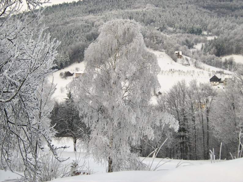 Zima w Rozdzielu. Foto Boena Pczek.