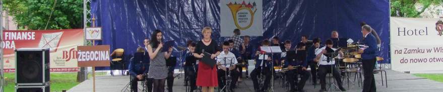 Modzieowa Orkiestra Dta CKSiT w egocinie na XIV Paradzie Orkiestr w Nowym Winiczu