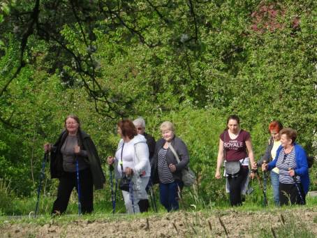 Fotogaleria - maj 2016.