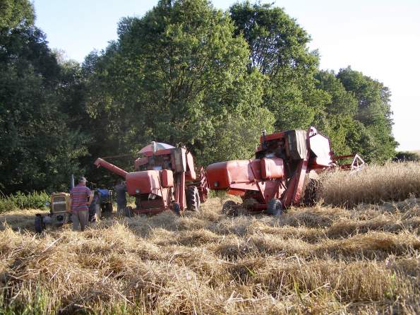 Lato 2007 w egocinie.